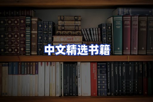 中文精选书籍